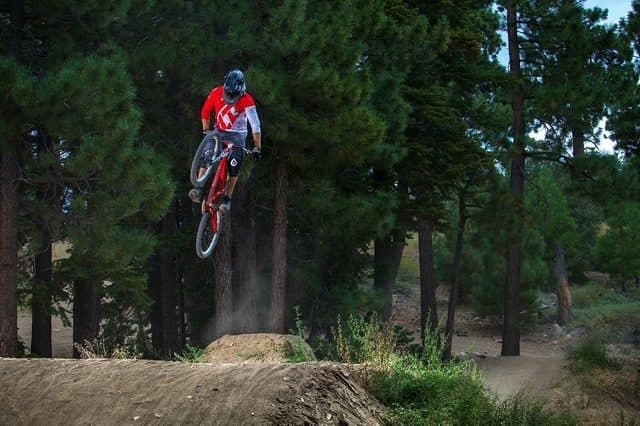 A mountain biker in a full face helmet mid air off a dirt jump in a stand of pines